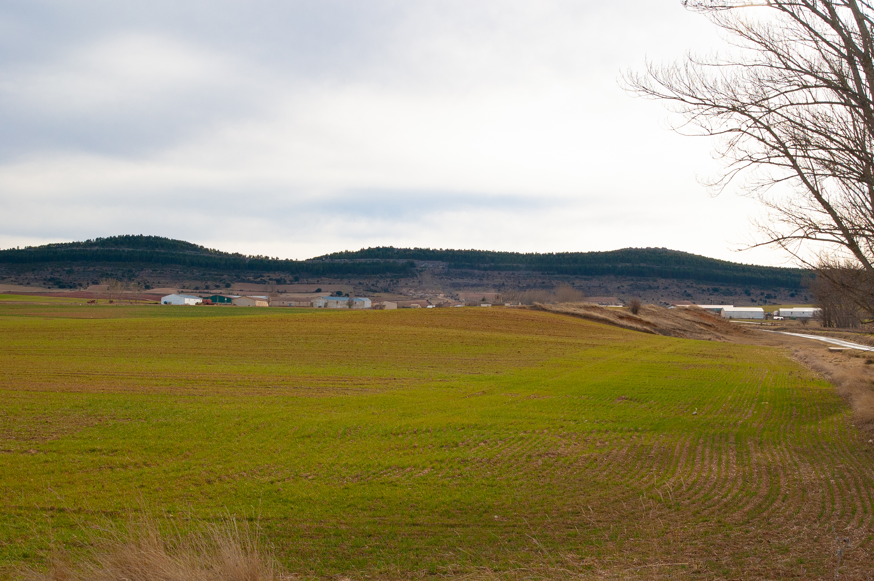 Torrubia de Soria