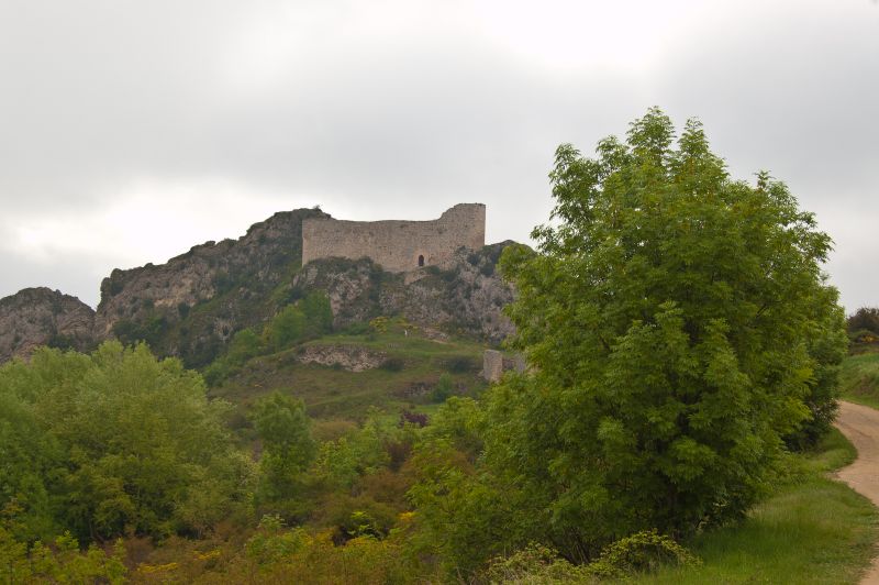 Castillo de los Rojas