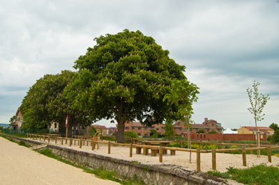 Área de Descanso antigua Estación de Sotopalacios