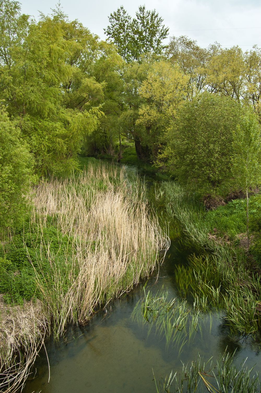 Río Ubierna