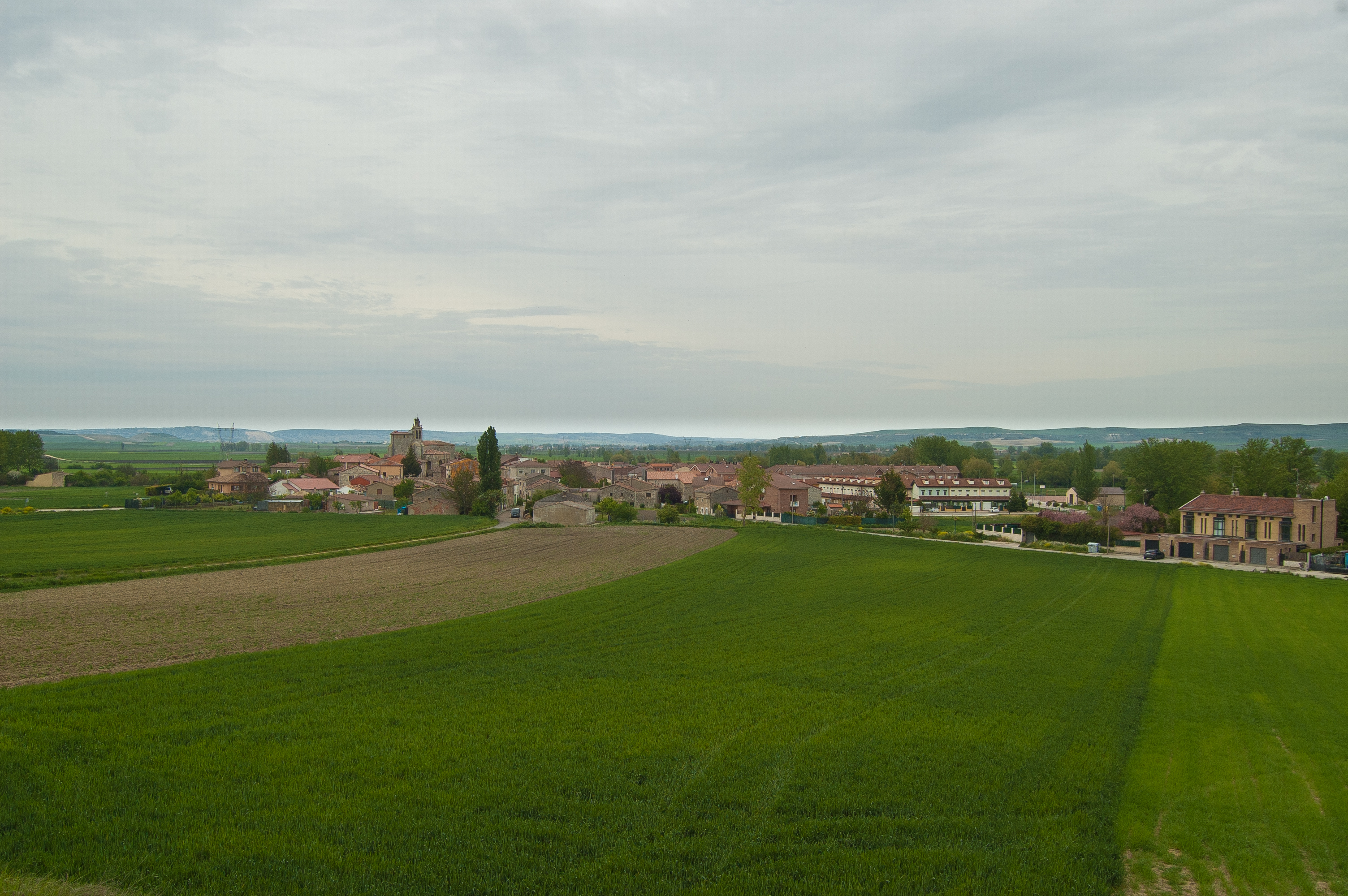 Sotragero
