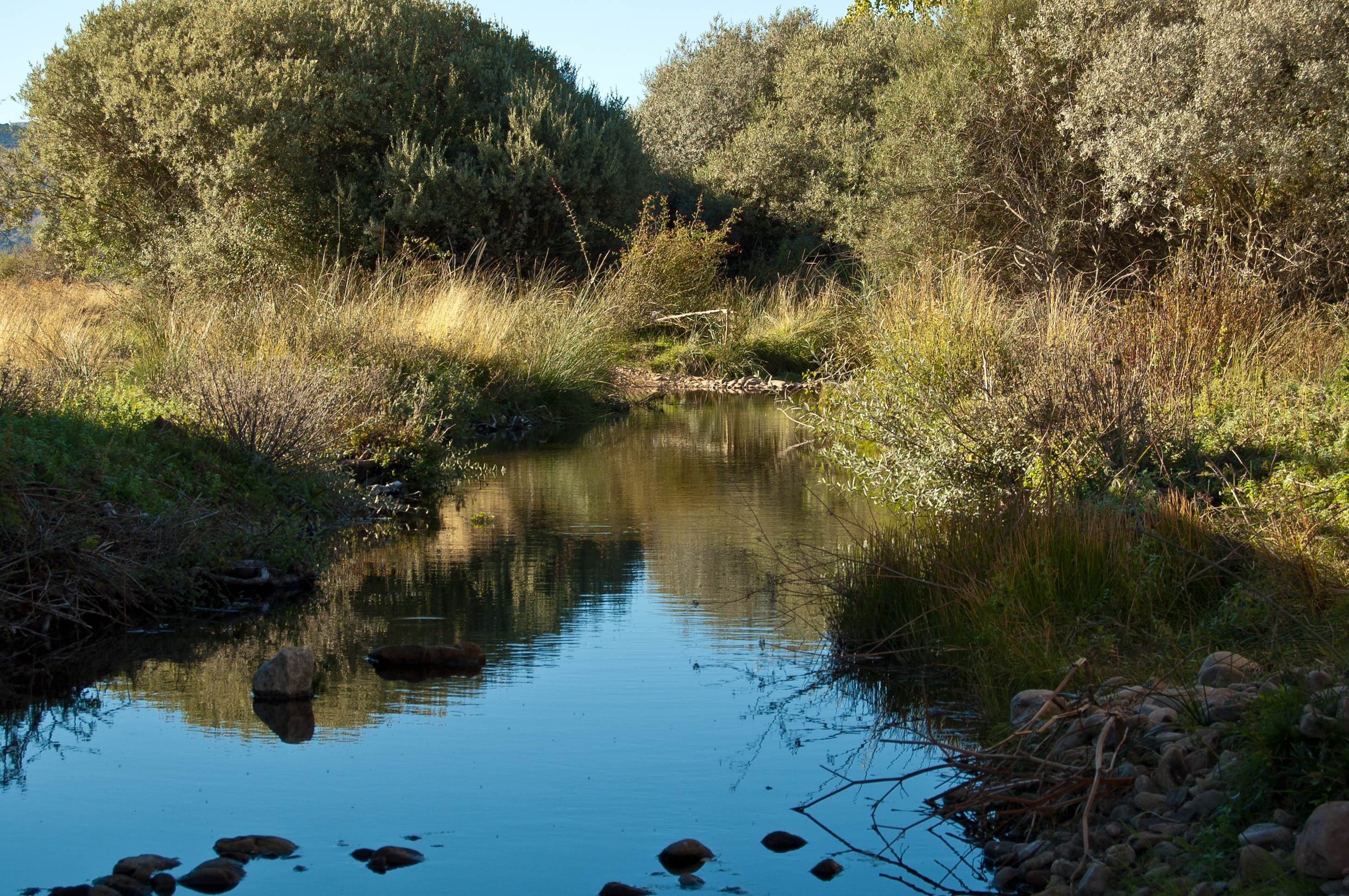 Río de San Martín