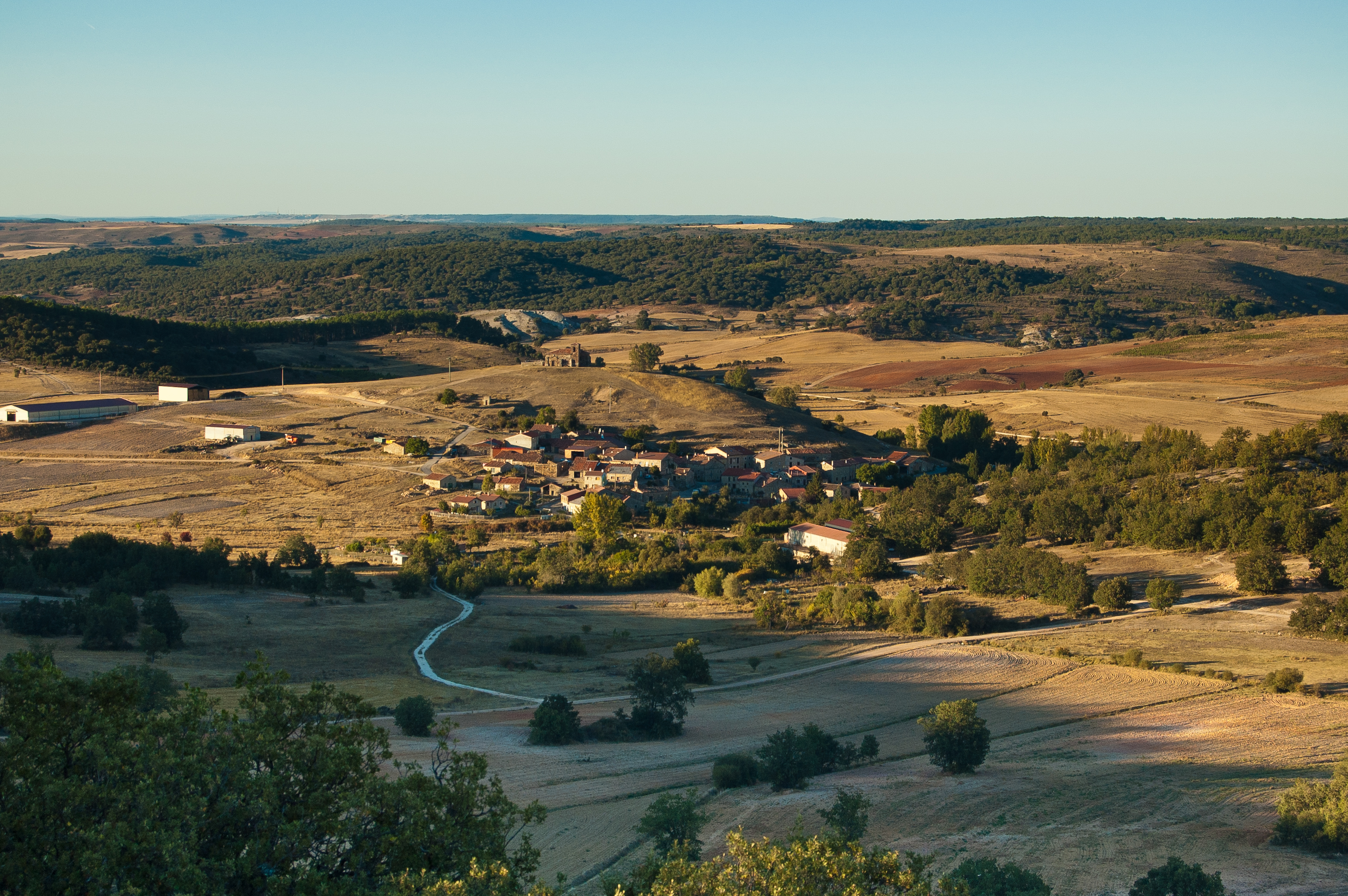 Torrelara