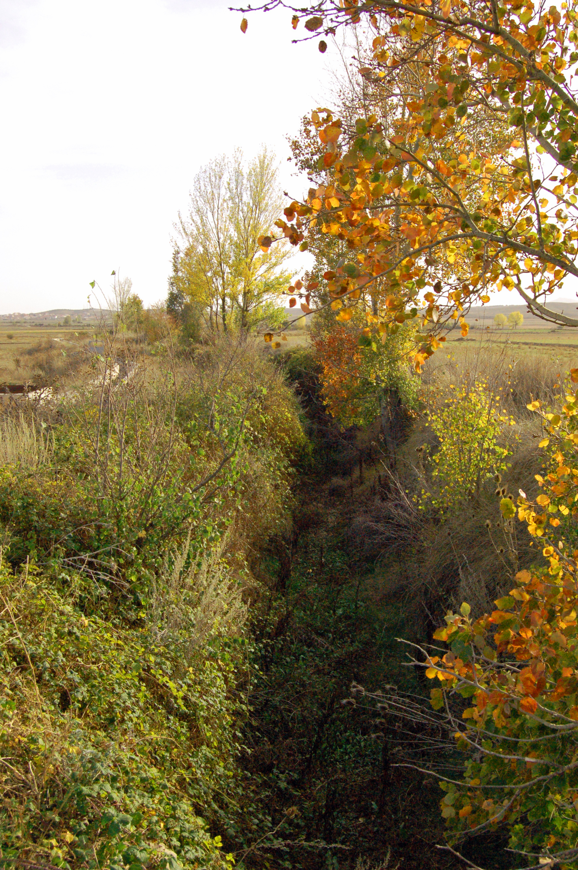 Acequia de La Granja