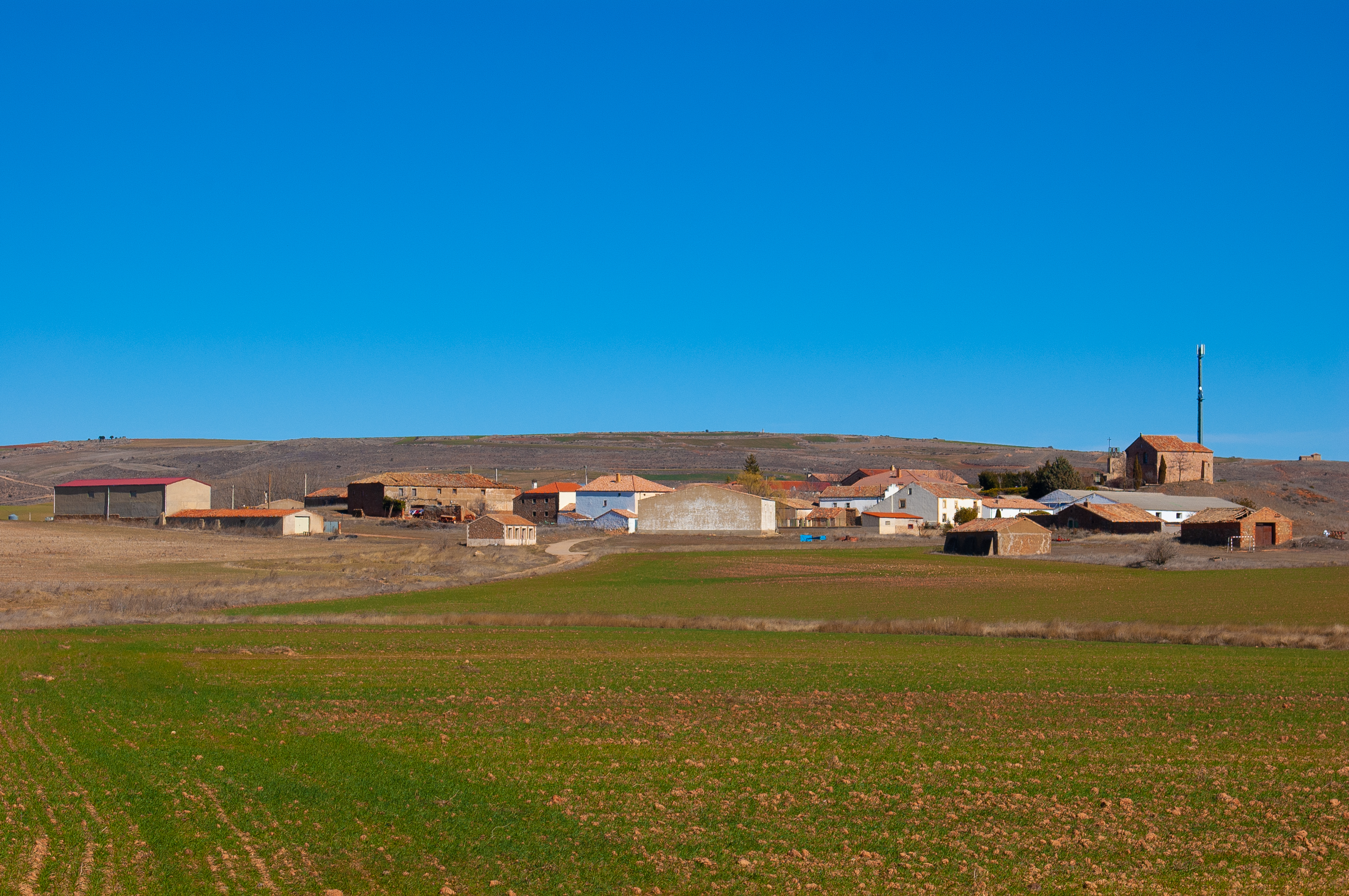 Carazuelo