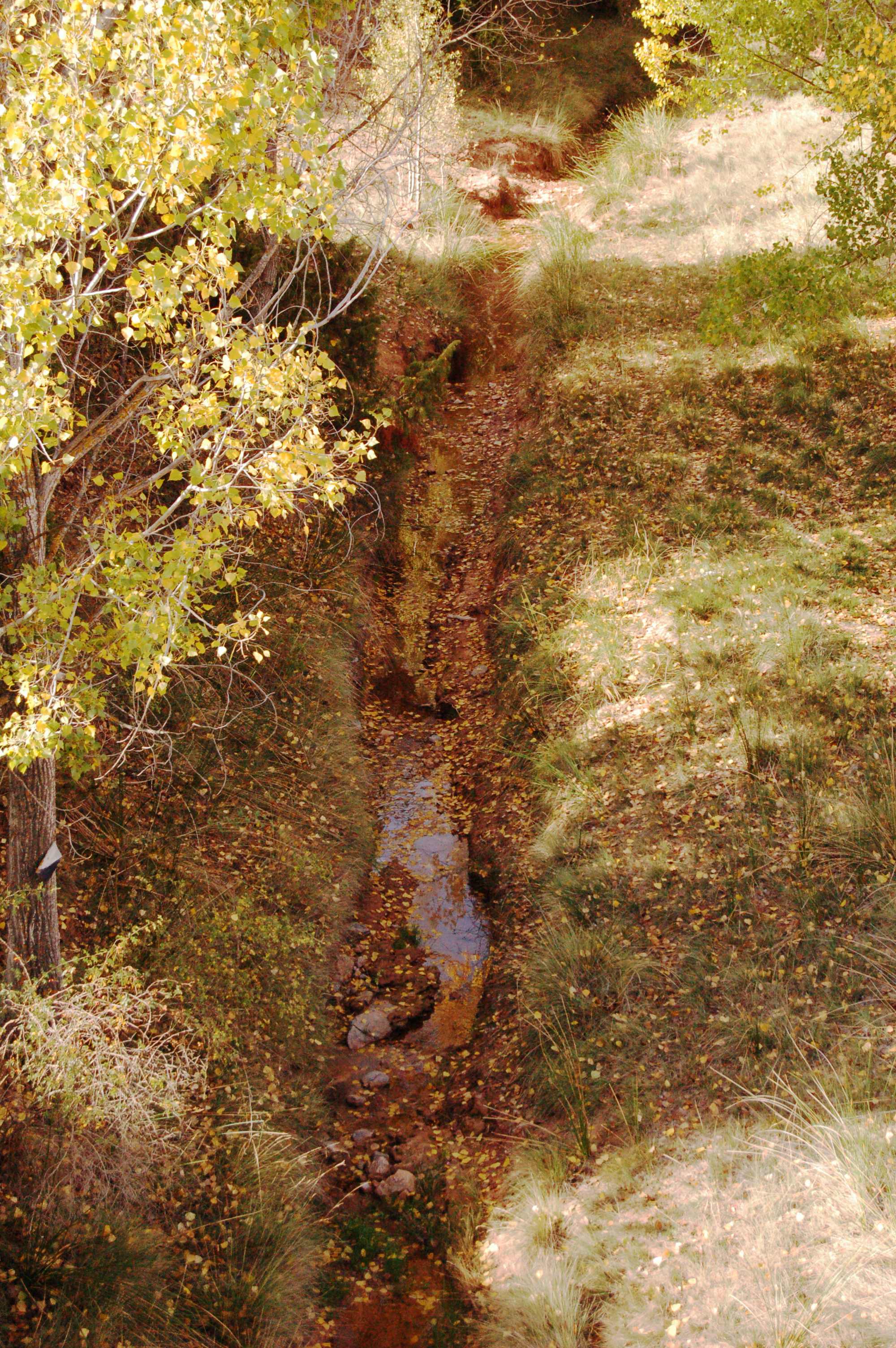 Rambla del río Seco