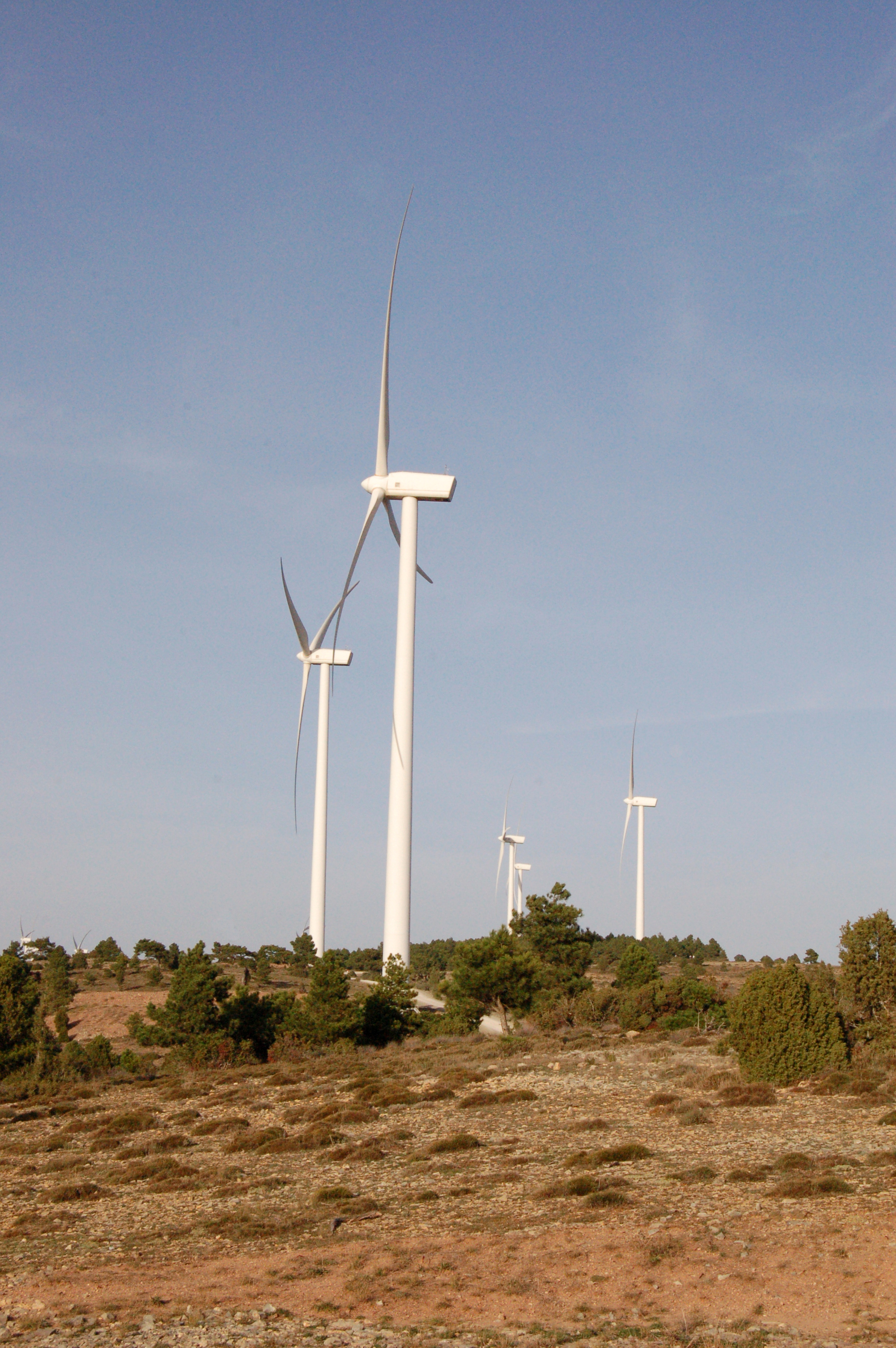 Aerogeneradores