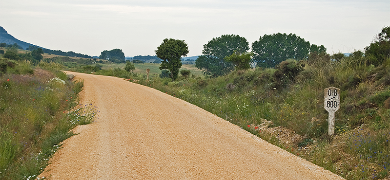 Camino Natural Santander – Mediterráneo. Etapa: Abejar - Soria Camino Natural Santander – Mediterráneo. Etapa: Abejar - Soria