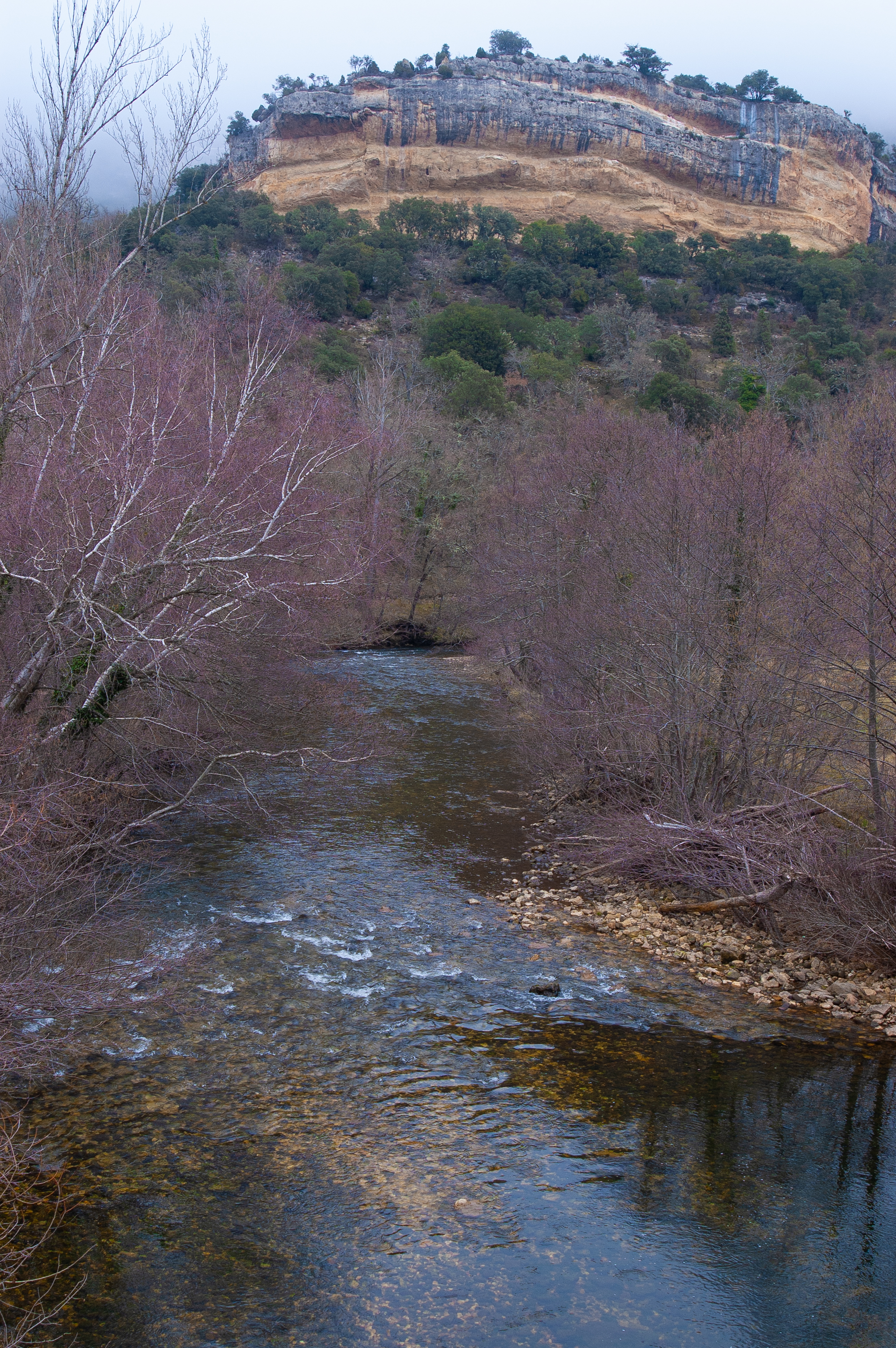 Río Nela