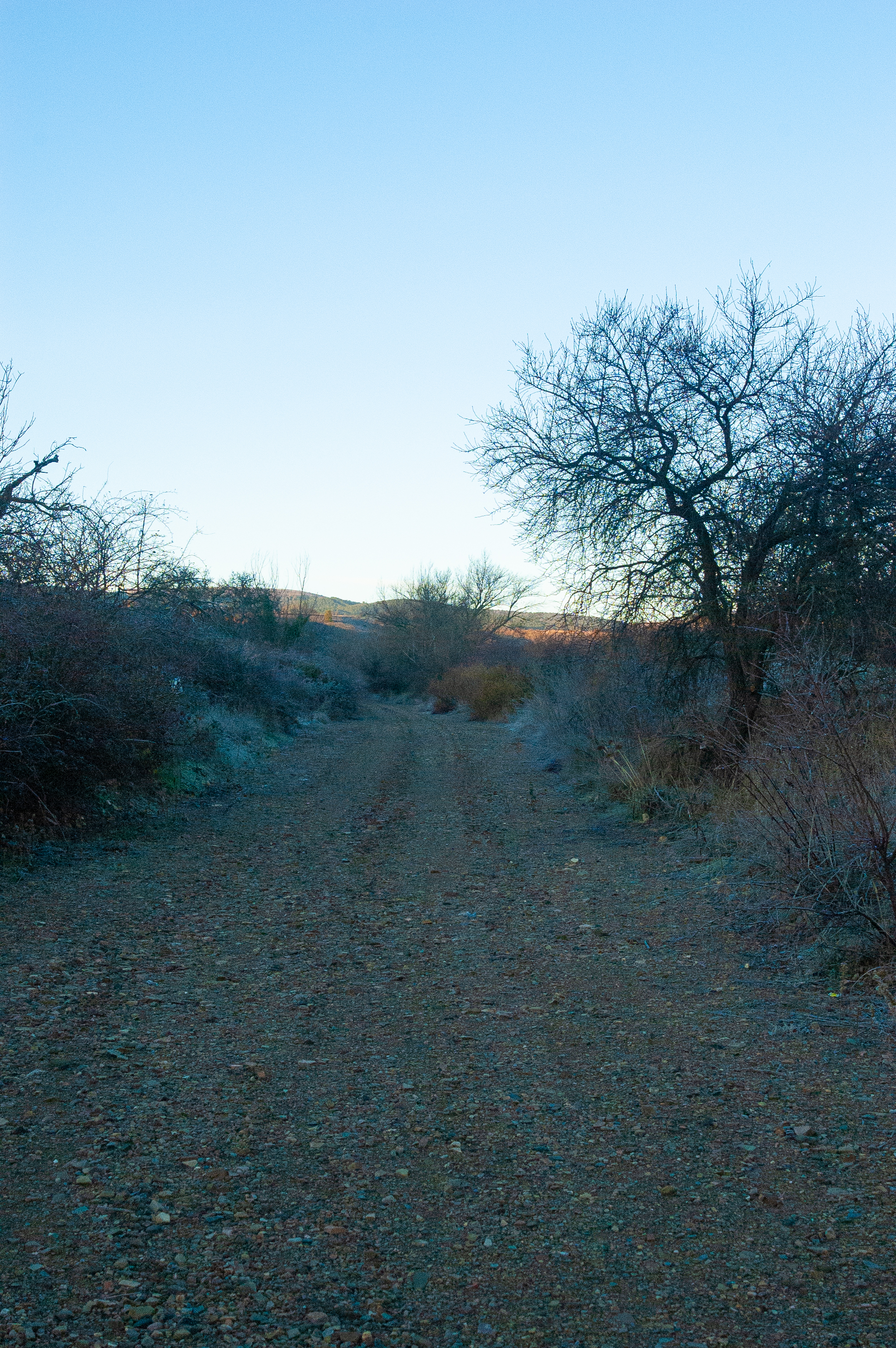 Arroyo Val de la Parra y puente ferroviario