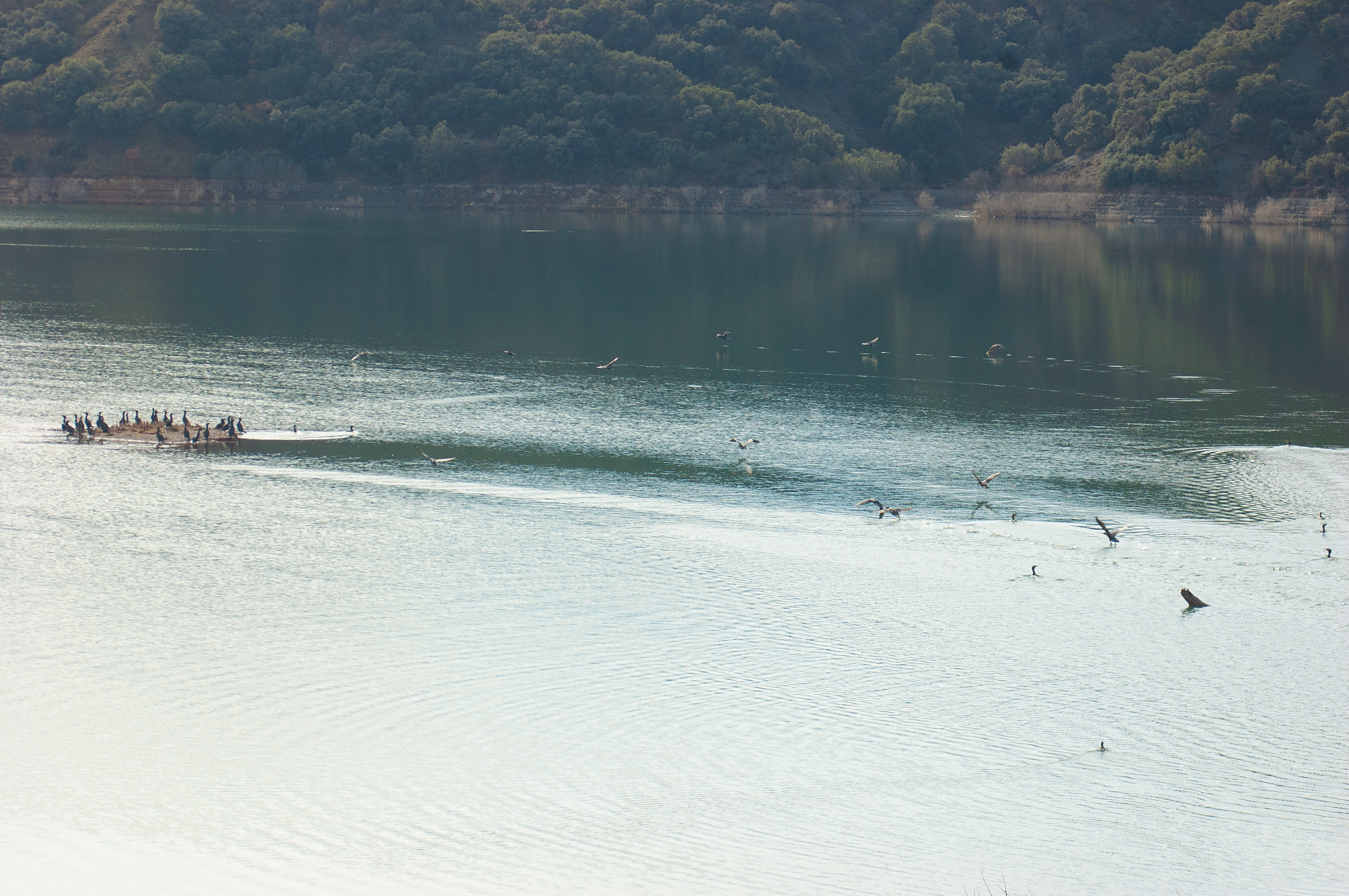 Embalse de Lechago