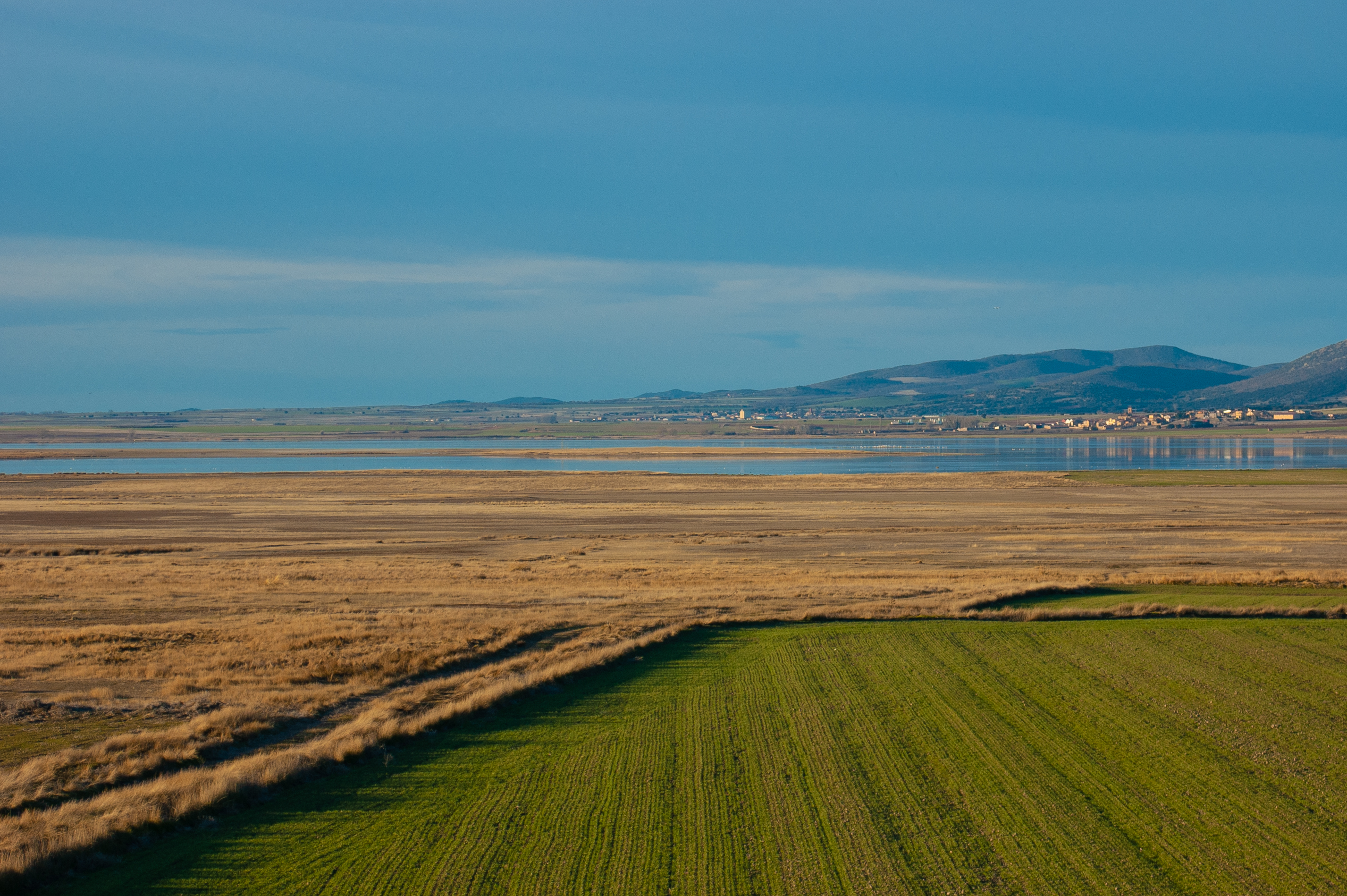 Lagunas de Gallocanta