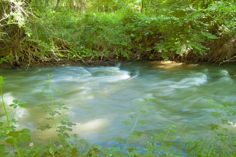Río Jiloca