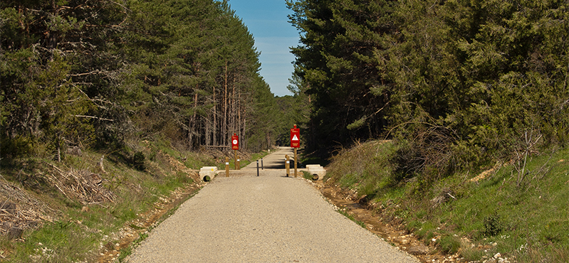 Camino Natural Santander - Mediterráneo. Etapa: Hontoria del Pinar - San Leonardo de Yagüe