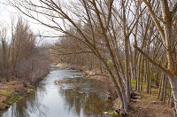 River Trueba from the Nature Trail