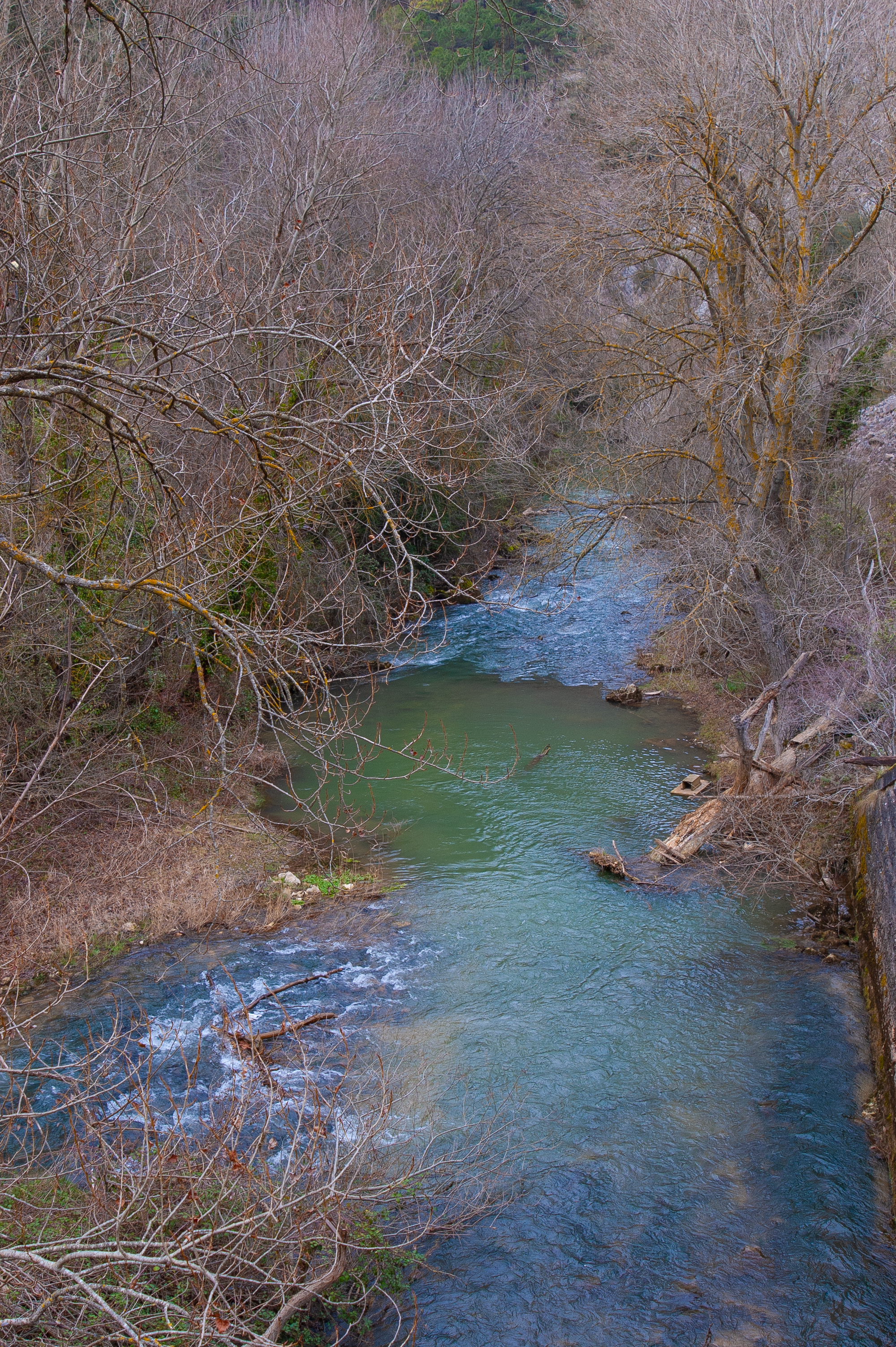 Río Oca