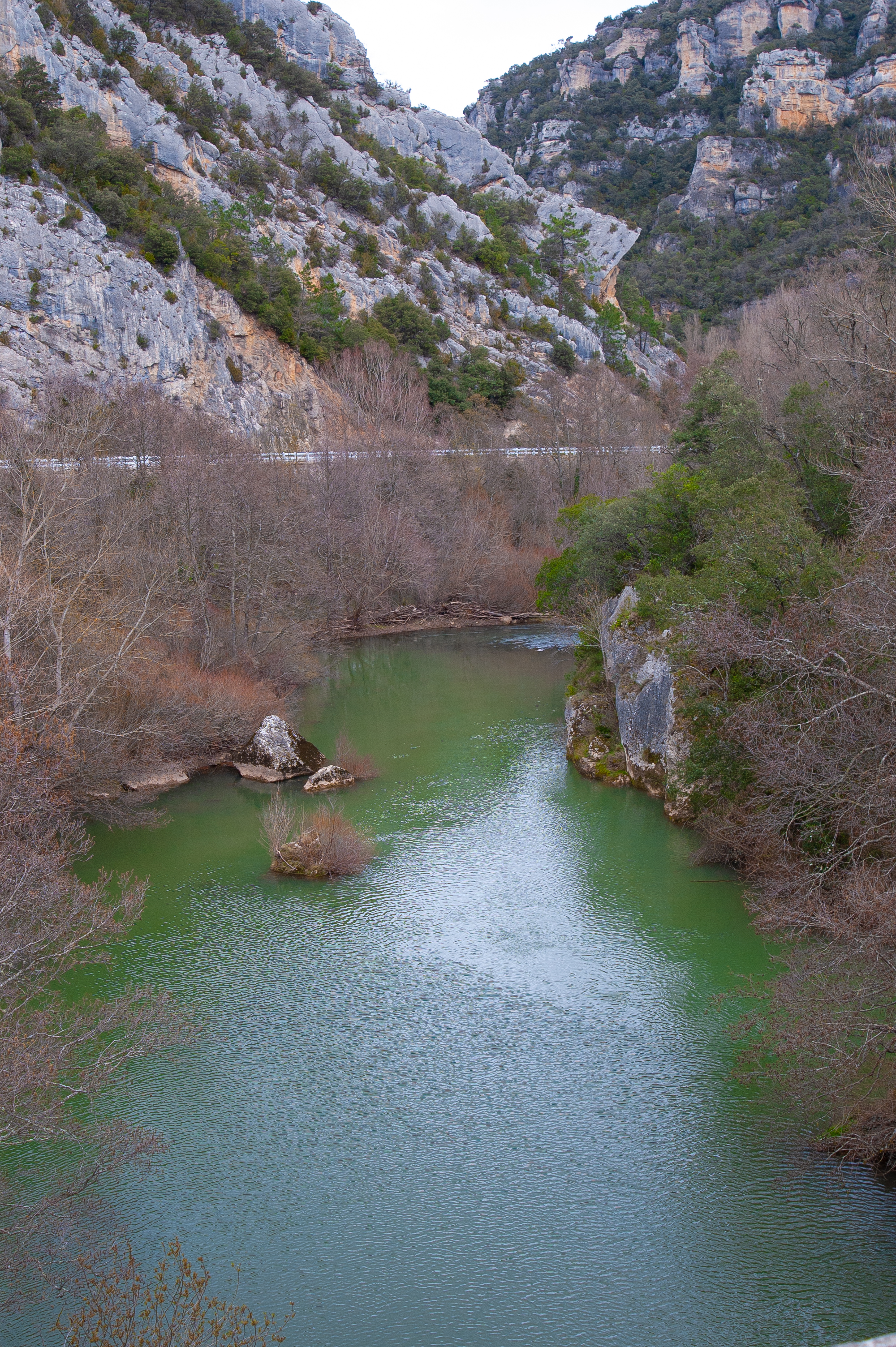 Cañón del río Ebro