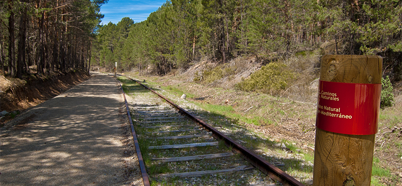 Camino Natural Santander - Mediterráneo. Etapa: San Leonardo de Yagüe - Abejar