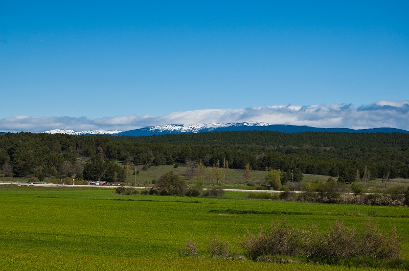 Picos de Urbión