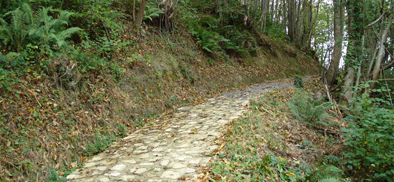 Camino Natural de la Senda del Oso. Tramo Entrago - Cueva Huerta