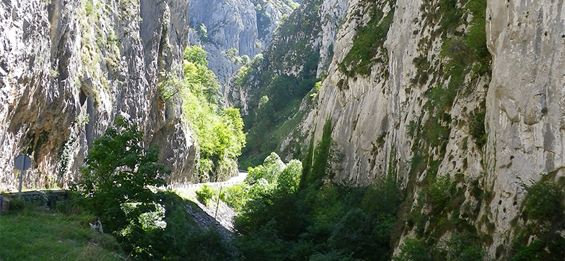 Camino Natural de la Senda del Oso. Tramo Santa Marina - Ricabo