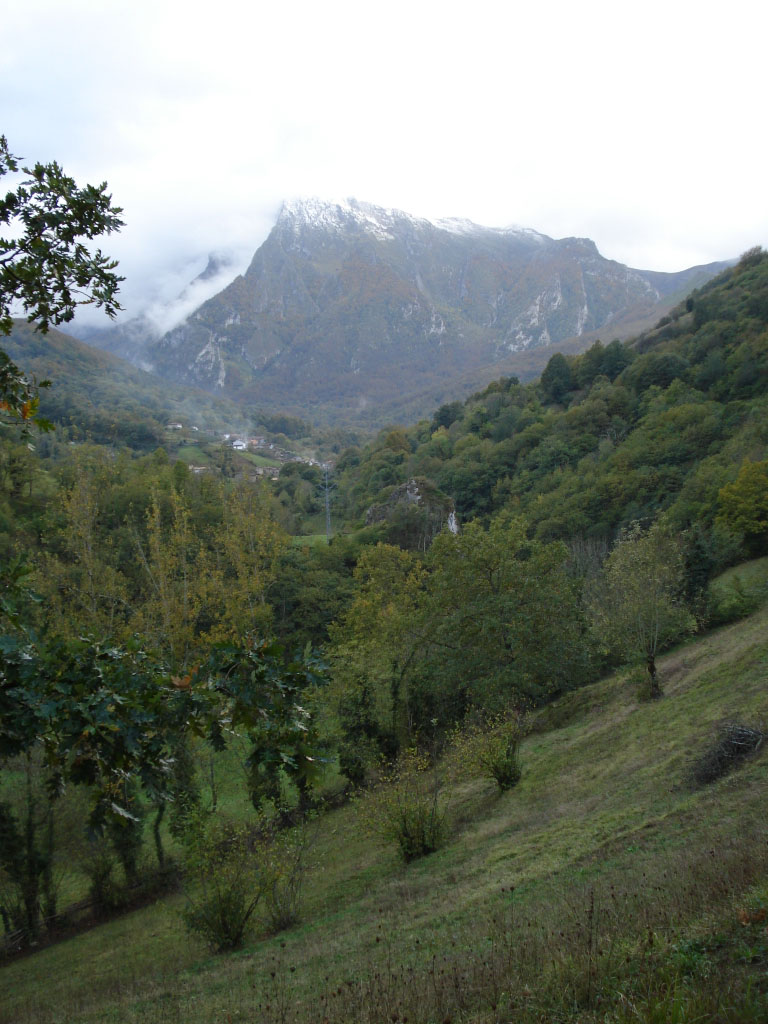 Camino Natural de la Senda del Oso