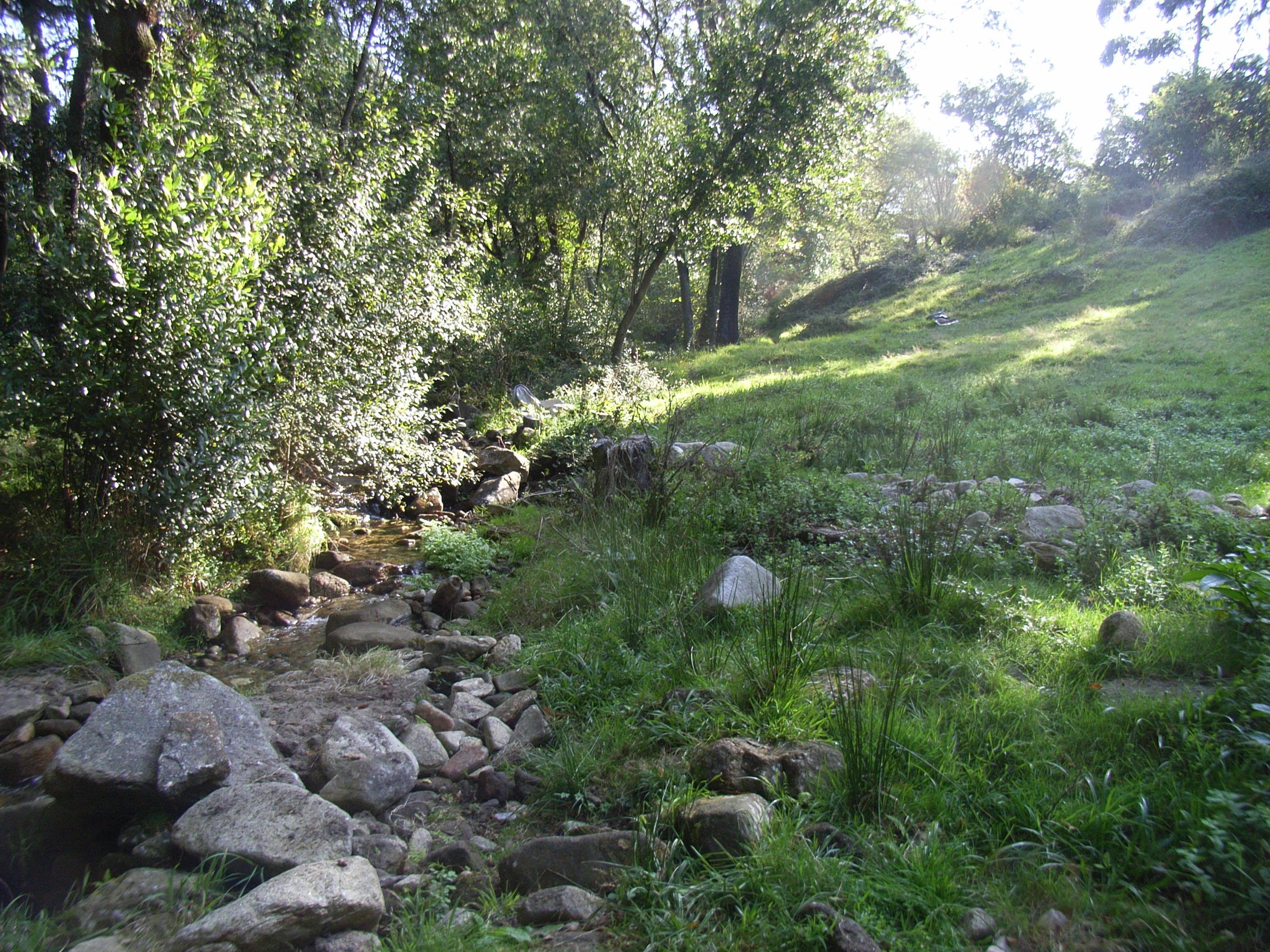 Arroyo do Souto da Vila