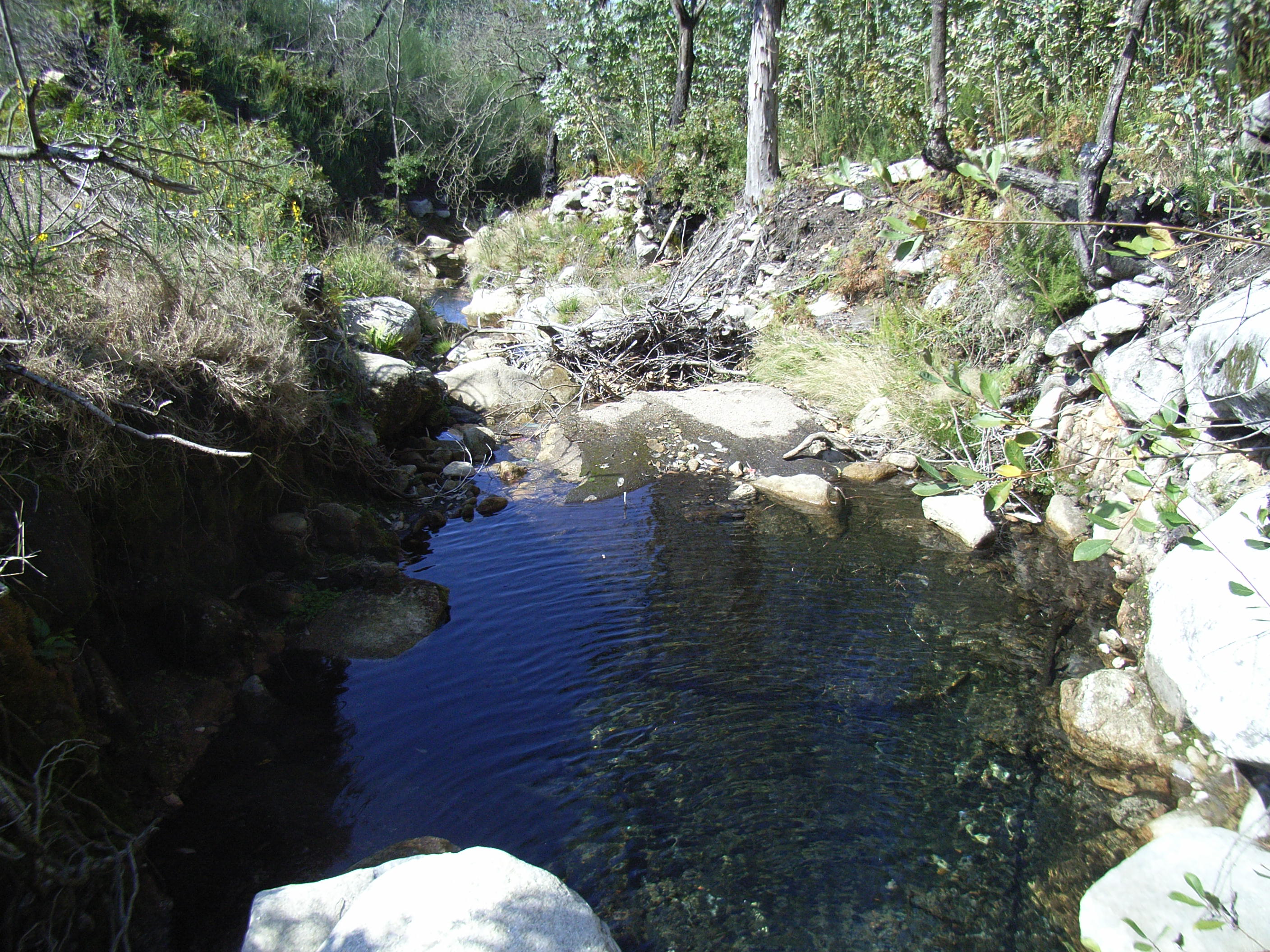 Nacimiento del arroyo Freixeiro 