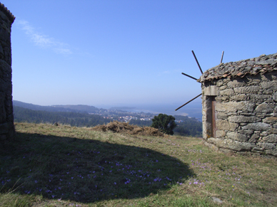 Molinos de viento en Abalo