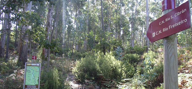 Camino Natural de las Sendas en Abalo