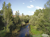 Río Arlanzón al inicio de la ruta