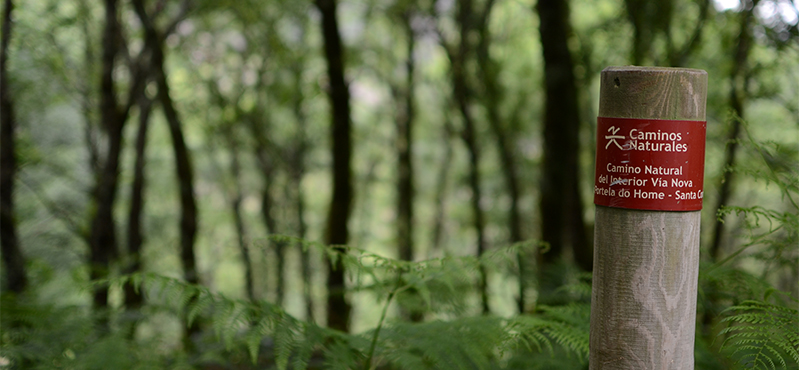 Camino Natural de Vía Nova