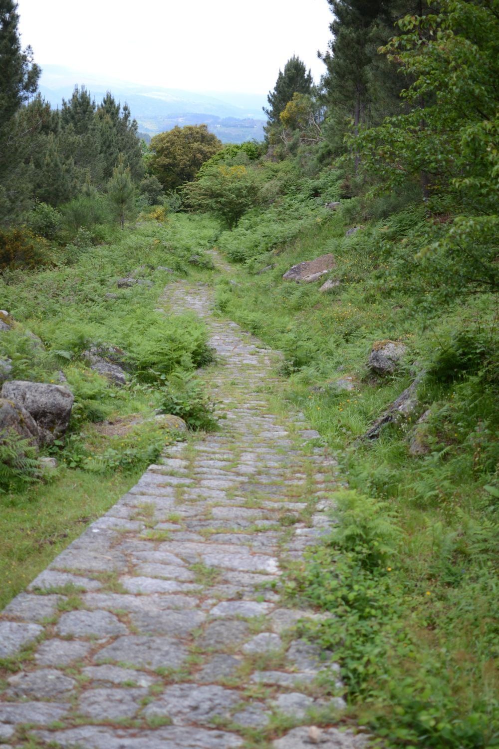 Calzada Romana restaurada