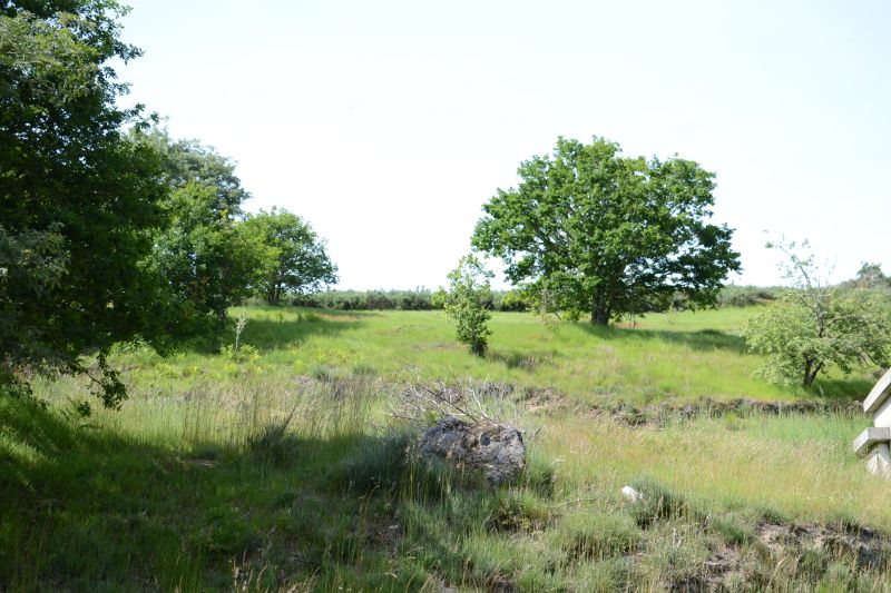 Castro de San Miguel