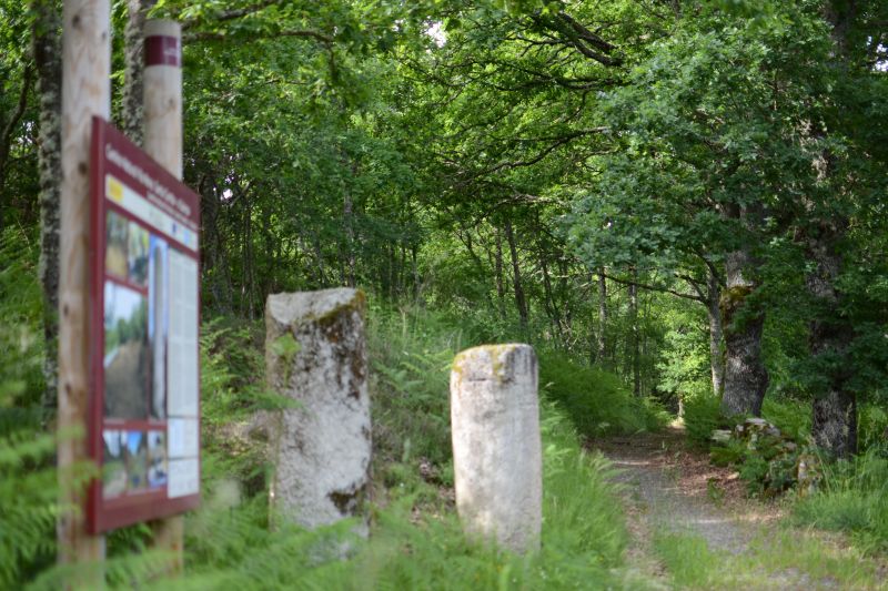 Miliarios de O Padrón