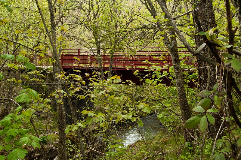 Puente de Sosas (río de Sosas)