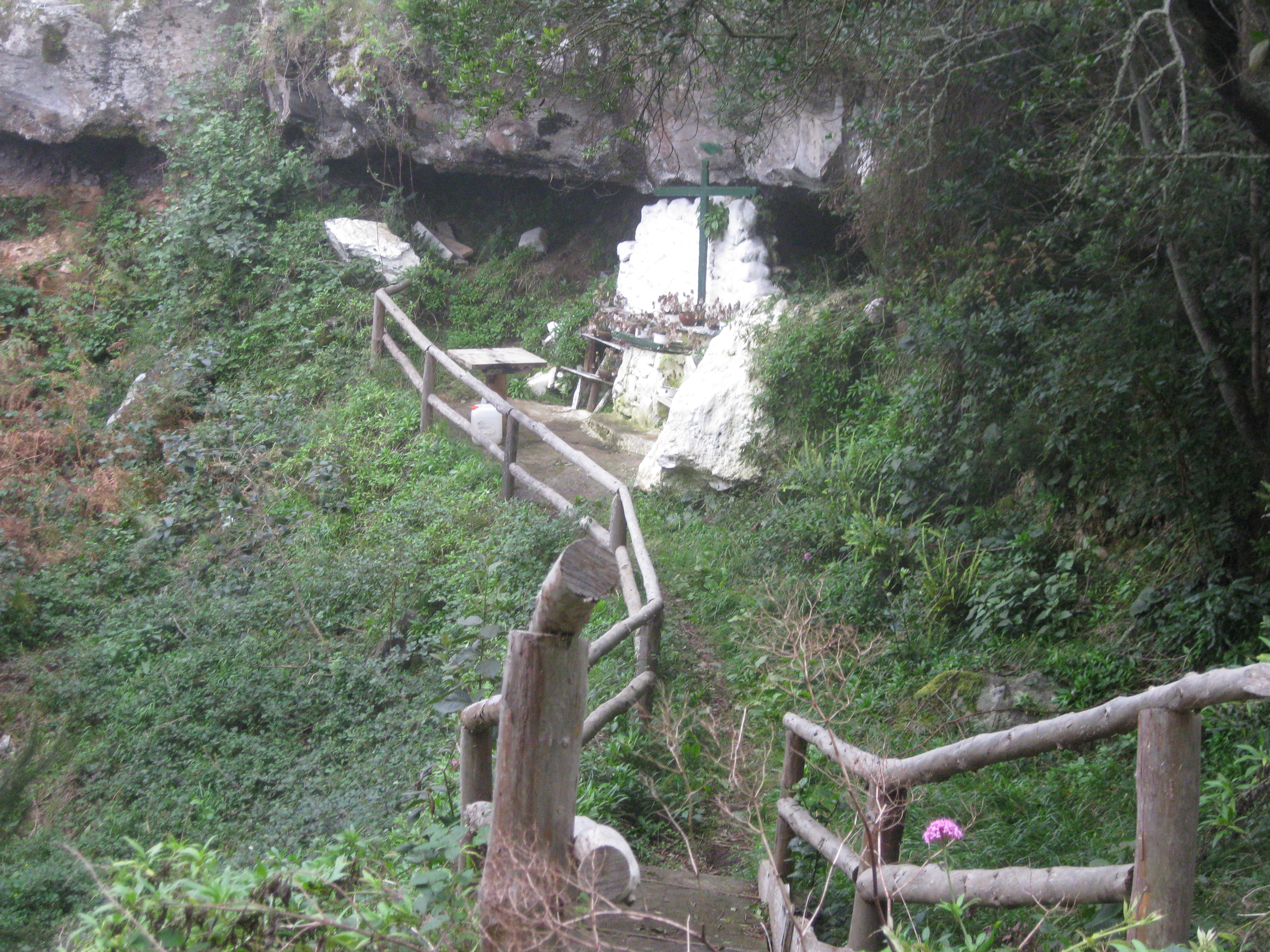 Pino o Fuente del Dornajito