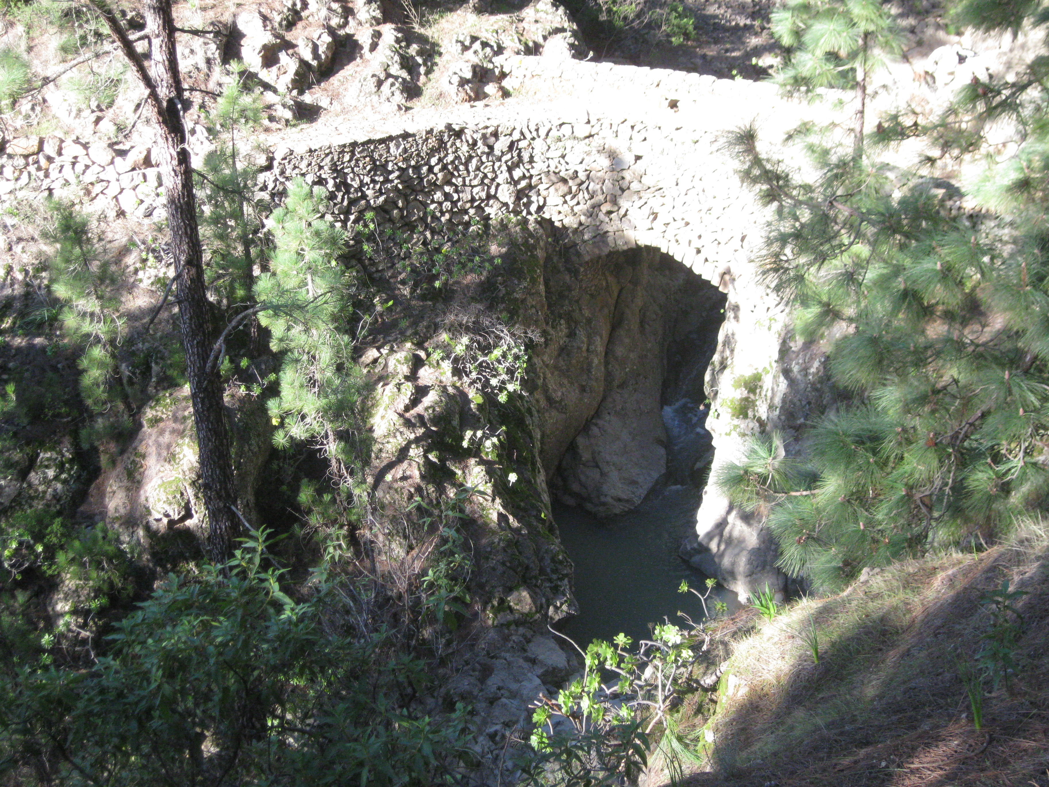 El Guayero Bridge