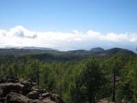 Vistas desde el pinar hasta la costa, en la última etapa del camino