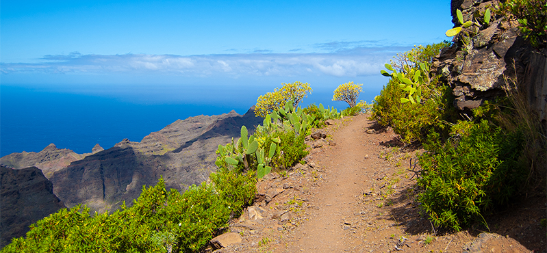 Camino Natural Costas de La Gomera. Etapa 3.1: Las Rosas - Chorros de Epina