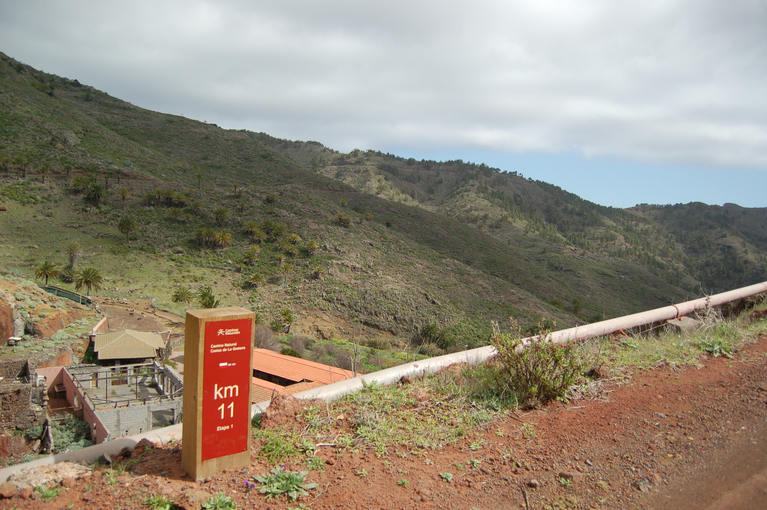 Enchereda