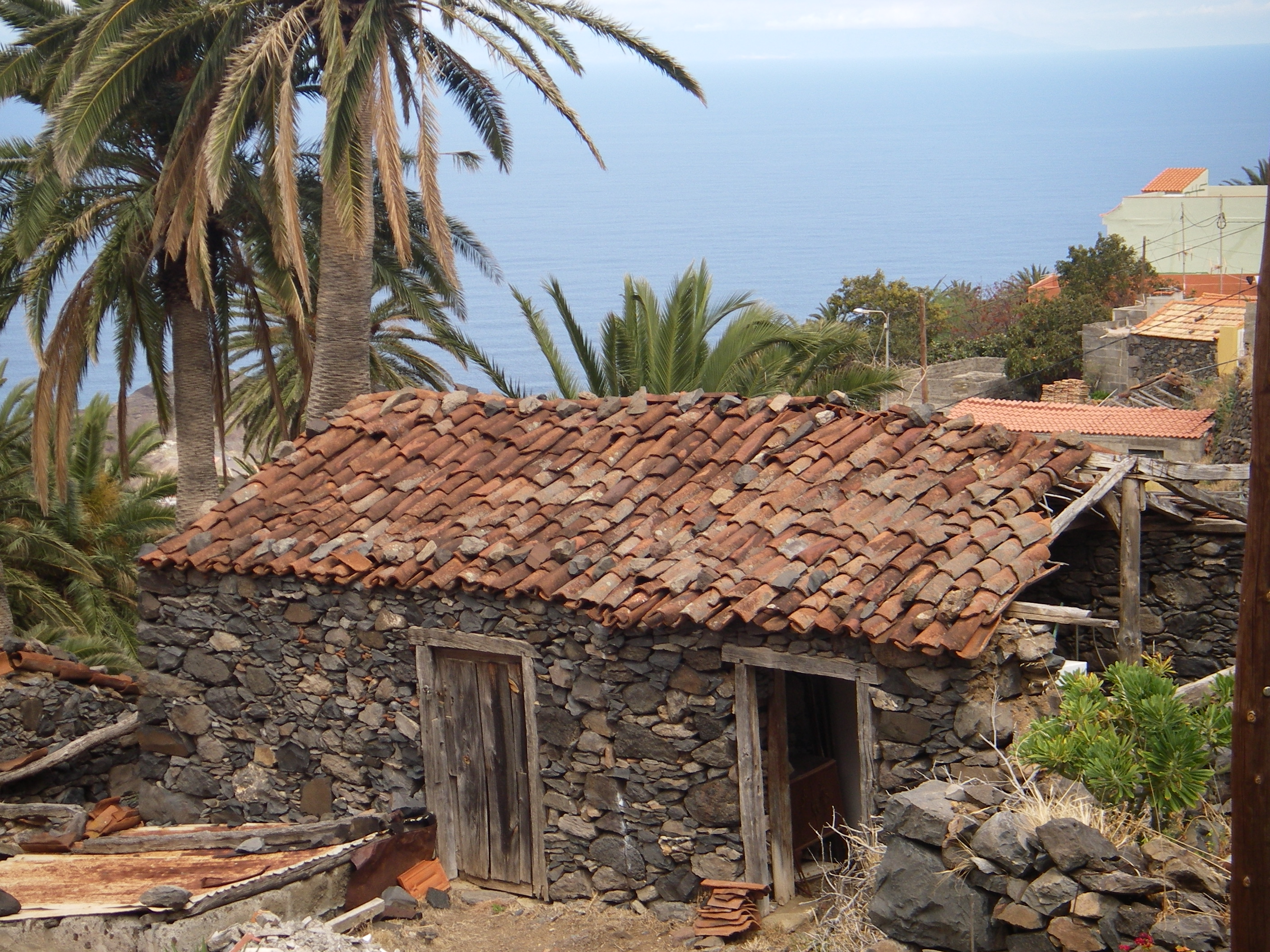 Alojera