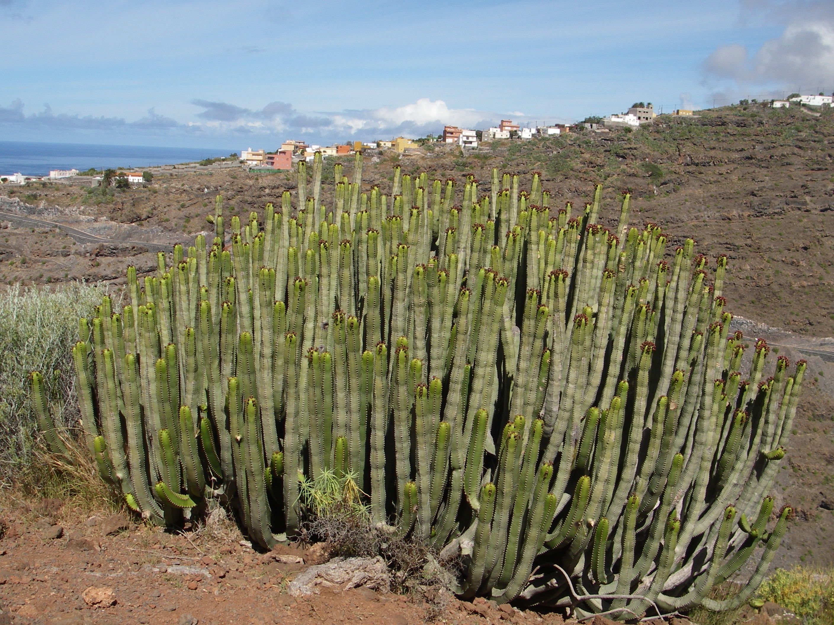 Paisaje Protegido de Orone