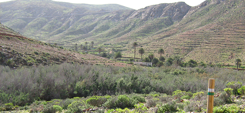 Camino Natural de Fuerteventura. SL FV 27: Vega del Río Palmas - Presa de las Peñitas