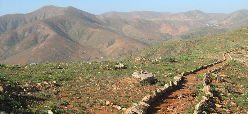Camino Natural de Fuerteventura. SL FV 28: Agua de Bueyes - Vega del Río Palmas