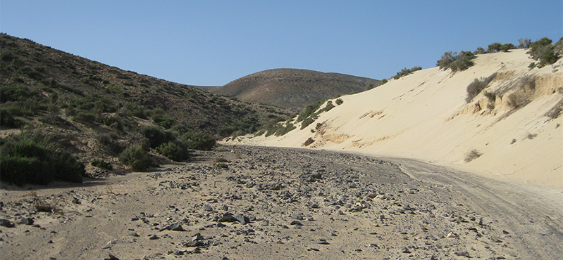 Camino Natural de Fuerteventura. Etapa 7: La Pared - Casas del Risco del Paso