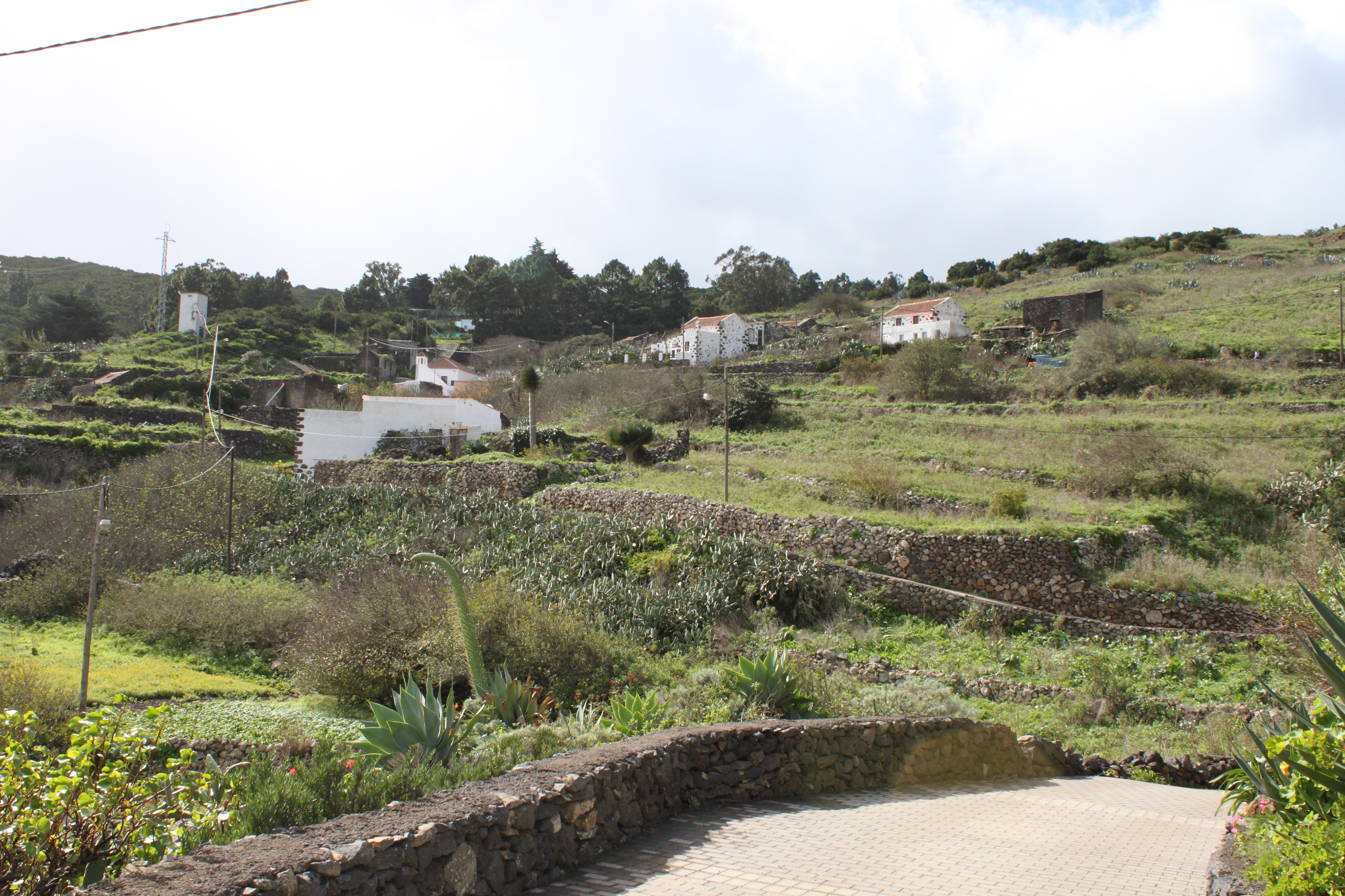 Tiñor 