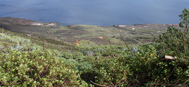 Camino Natural por los senderos tradicionales de El Hierro. Sendero GR-131