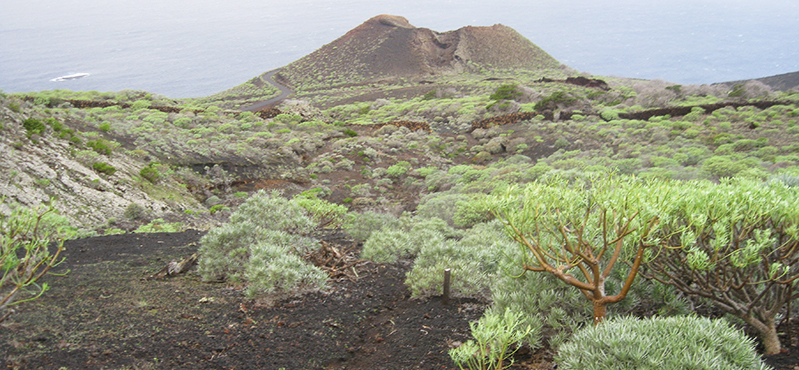 Camino Natural por los senderos tradicionales de El Hierro. Sendero Circular. Tramo 1: Verodal - El Sabinar