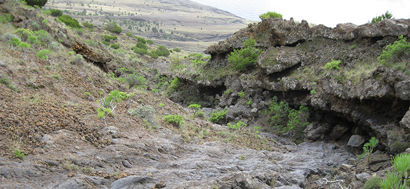 Camino Natural por los senderos tradicionales de El Hierro. Sendero Circular. Tramo 3: Camino de los Pastores - Julán